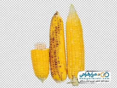 عکس png ذرت بدون پوست