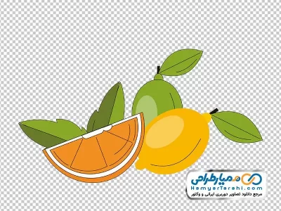 عکس وکتوری لیمو و پرتقال با فرمت png