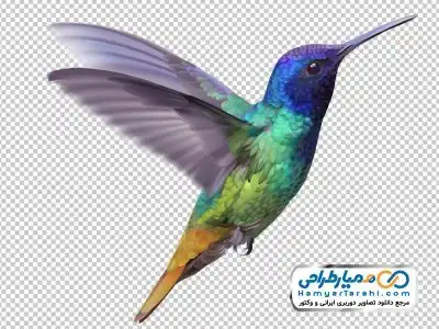 دوربری تصویر پرنده اسلیمی