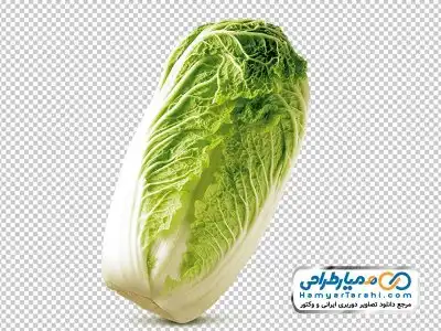 تصویر png کاهو