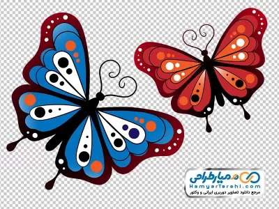 دانلود تصویر وکتوری پروانه خوشرنگ و زیبا