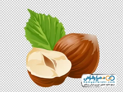دانلود عکس وکتوری فندق