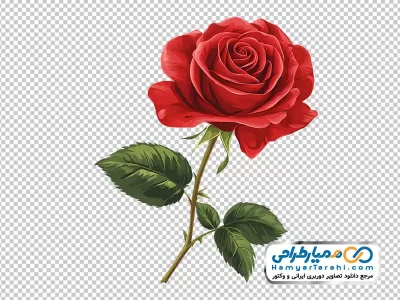 تصویر وکتوری شاخه گل رز زیبا با فرمت png