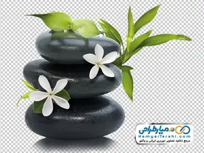 تصویر png سنگ ماساژ و برگ