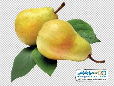 تصویر png گلابی