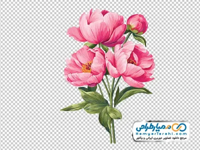 دانلود عکس وکتوری دسته گل آبرنگی به رنگ صورتی