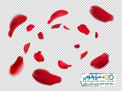 عکس پاشش گلبرگ های قرمز
