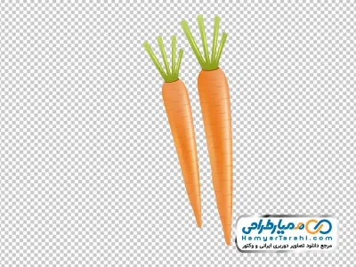 دانلود عکس وکتوری هویج