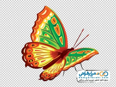 دانلود تصویر وکتوری پروانه رنگارنگ