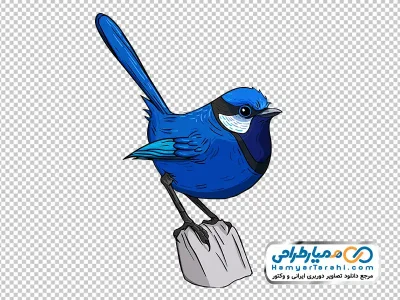 دانلود تصویر با کیفیت پرنده نشسته روی سنگ
