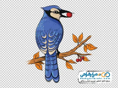 تصویر png پرنده آبی نشسته روی شاخه درخت