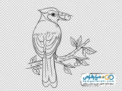 وکتور سیاه و سفید پرنده نشسته روی شاخه با فرمت png
