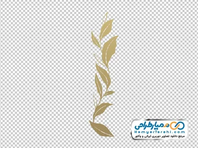 تصویر وکتوری شاخه پر برگ با فرمت png