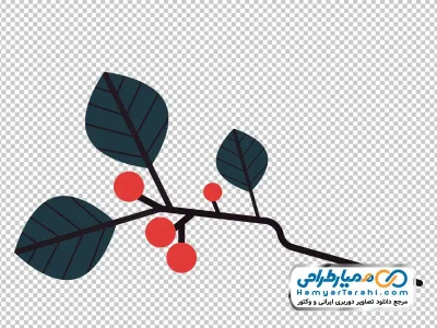 دانلود عکس وکتوری شاخه درخت با توت زمستانی با فرمت png