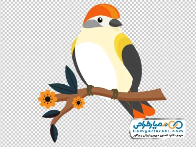تصویر png پرنده نشسته روی شاخه درخت
