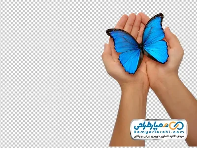 تصویر با کیفیت پروانه آبی نشسته روی دست با فرمت png