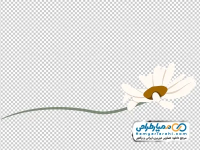 دانلود تصویر وکتوری گل بابونه