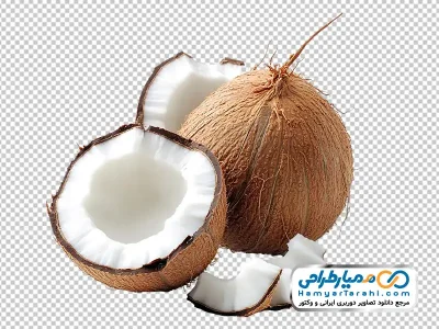 تصویر با کیفیت نارگیل با فرمت png