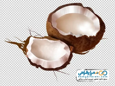 عکس وکتوری نارگیل شکسته با فرمت png