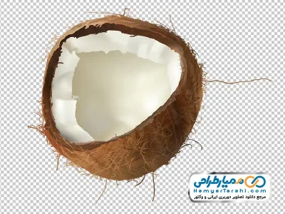 تصویر وکتوری نارگیل شکسته با فرمت png