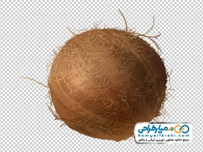 تصویر نارگیل با فرمت png