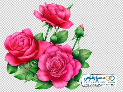 عکس png دسته گل رز