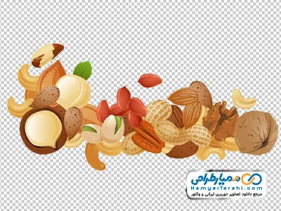 تصویر وکتوری مغزیجات با فرمت png