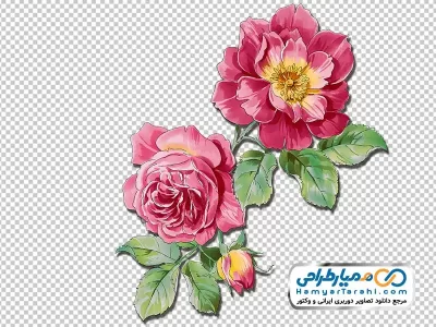 عکس باکیفیت گل
