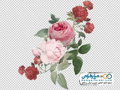 عکس وکتوری کادر گل