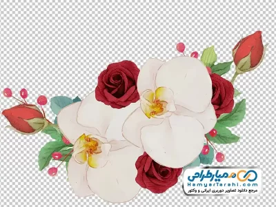 تصویر وکتوری گل سفید و قرمز