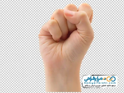 دانلود عکس png دست با انگشتان بسته