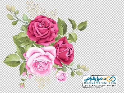 عکس png گل زیبا