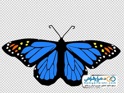فایل دوربری پروانه آبی