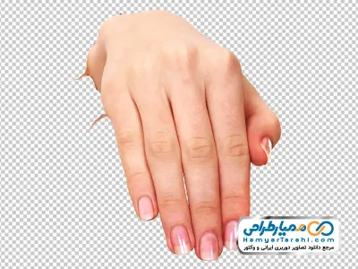عکس png دست زنانه بیرون آمده از کاغذ
