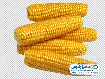 دانلود عکس بدون پس زمینه ذرت بدون پوست