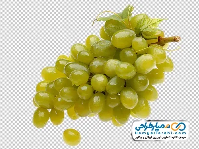 تصویر با کیفیت خوشه انگور سبز