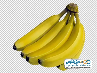دانلود عکس png موز