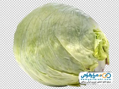 دانلود تصویر با کیفیت کاهو پیچ