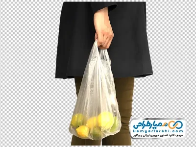 تصویر با کیفیت کیسه خرید لیموترش در دست خانم