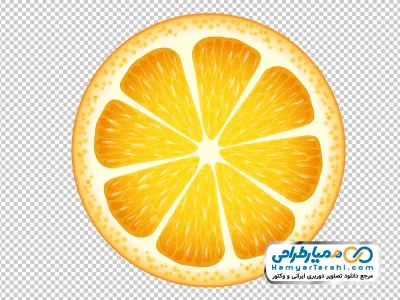 دانلود تصویر وکتوری برش پرتقال
