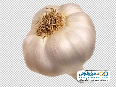 عکس با کیفیت سیر خشک با فرمت png