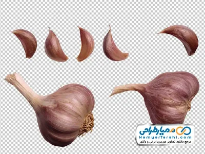 تصویر با کیفیت سیر خشک بنفش با فرمت png