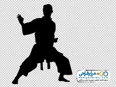 دوربری مرد کونگ فو کار