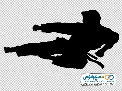 تصویر با کیفیت مرد کونگ فو کار