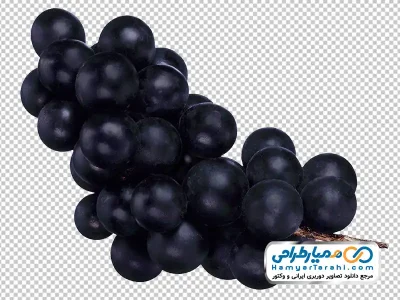 دانلود عکس png انگور سیاه