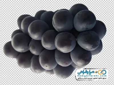 تصویر با کیفیت انگور سیاه