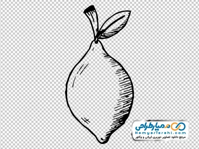 تصویر png نقاشی کودکانه تک رنگ لیمو