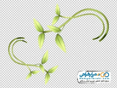 عکس وکتوری ساقه گیاه برگ دار با فرمت png