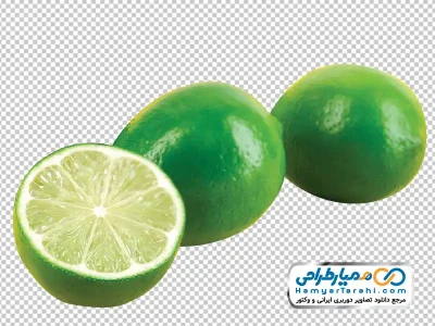 دانلود عکس با کیفیت لیموترش سبز