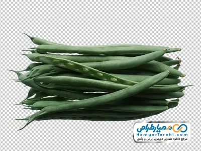 عکس png لوبیا سبز